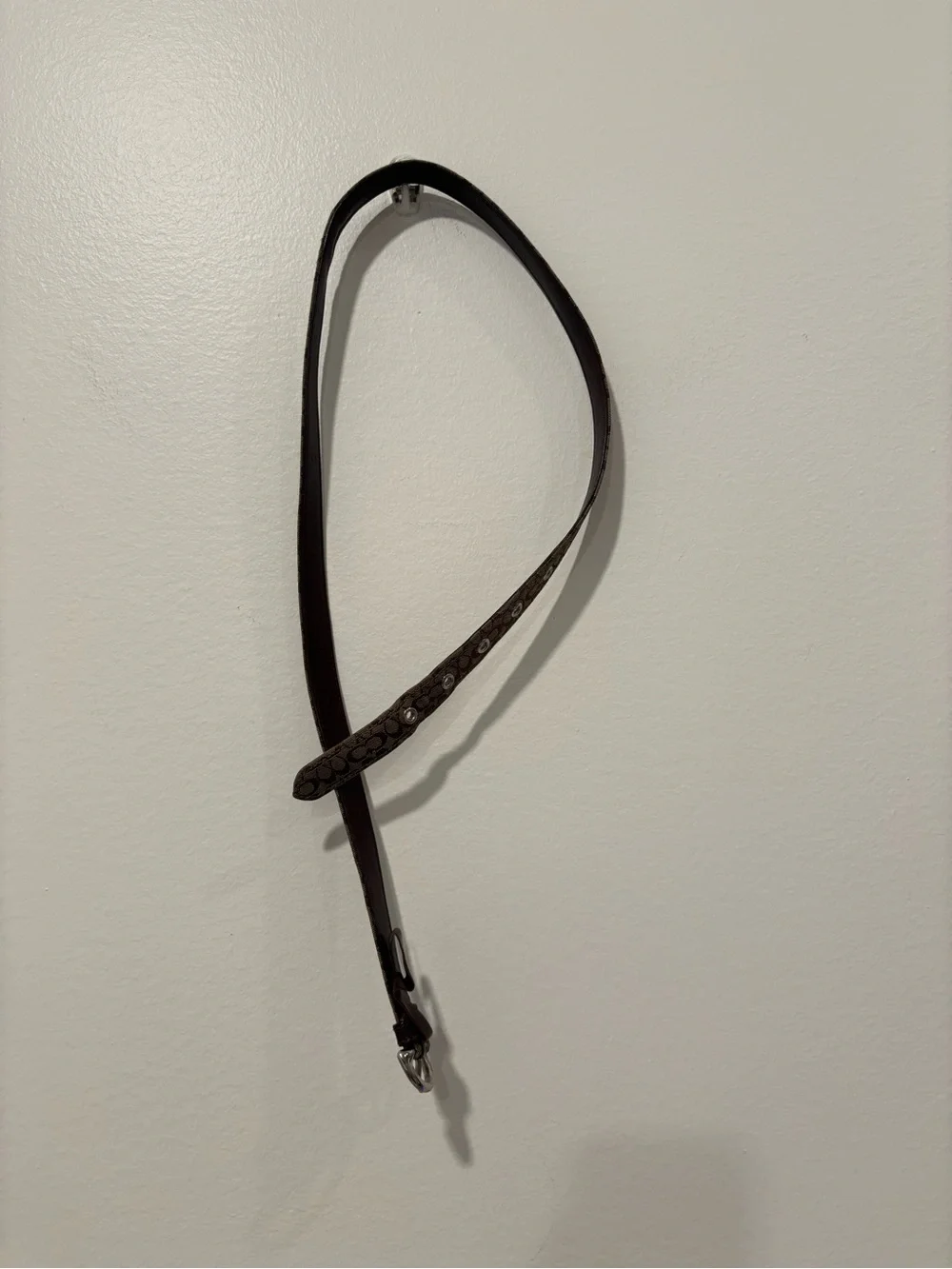 Women’s Coach Belt